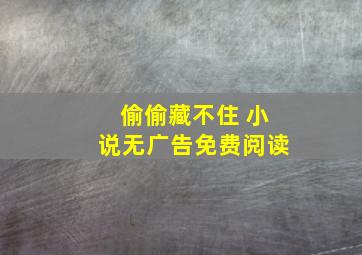 偷偷藏不住 小说无广告免费阅读